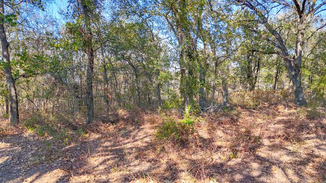Lot 14 Bordeaux Lane, Corsicana, TX 75109