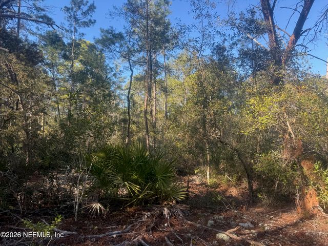 210 MORNINGSIDE Drive, Florahome, FL 32140