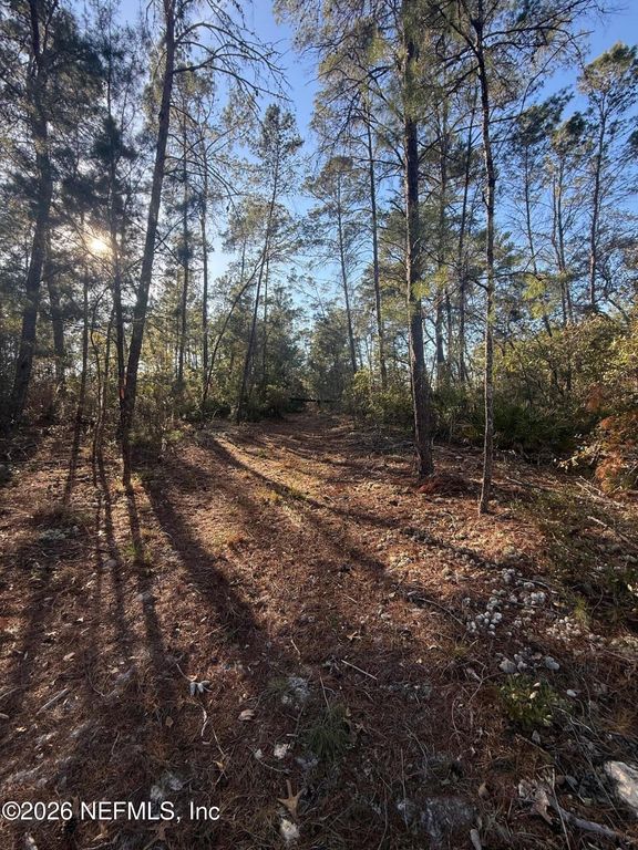 210 MORNINGSIDE Drive, Florahome, FL 32140