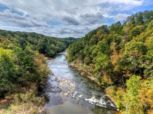 LT 269 River View Trail, Ellijay, GA 30540