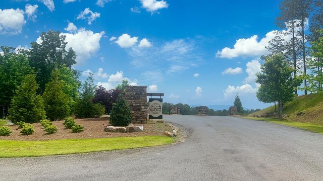 LT 269 River View Trail, Ellijay, GA 30540