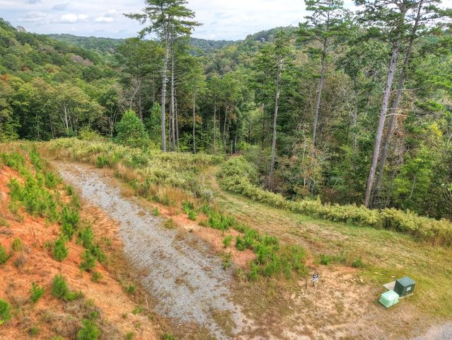 LT 269 River View Trail, Ellijay, GA 30540