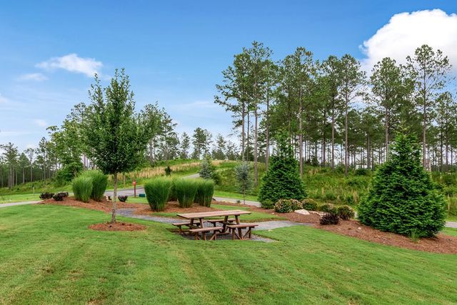 LT 269 River View Trail, Ellijay, GA 30540