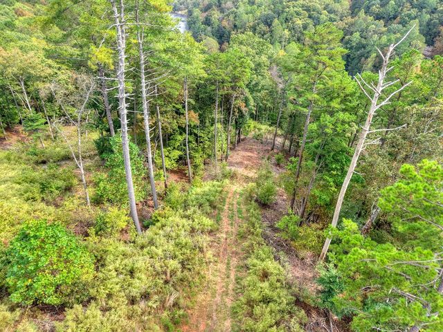 LT 269 River View Trail, Ellijay, GA 30540