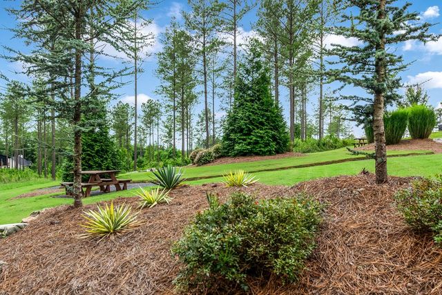 LT 269 River View Trail, Ellijay, GA 30540