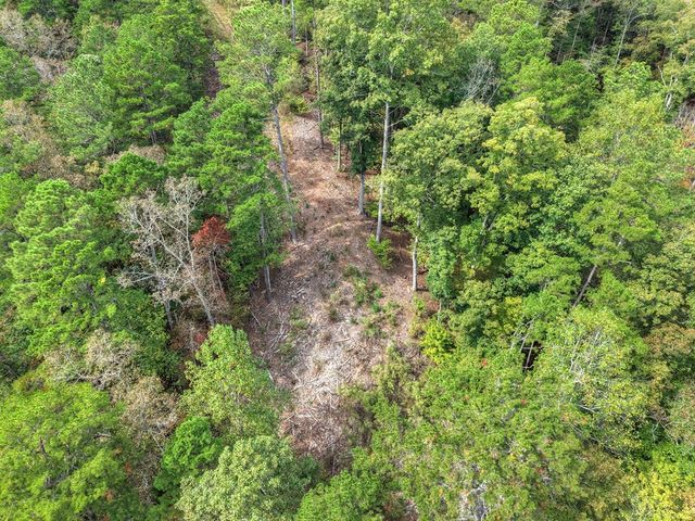 LT 269 River View Trail, Ellijay, GA 30540