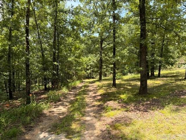 136 Scenic Hill Road, Conway, AR 72034