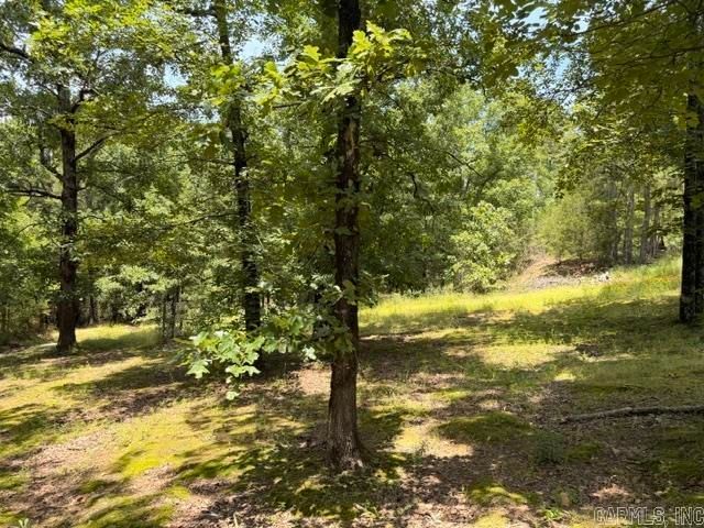 136 Scenic Hill Road, Conway, AR 72034