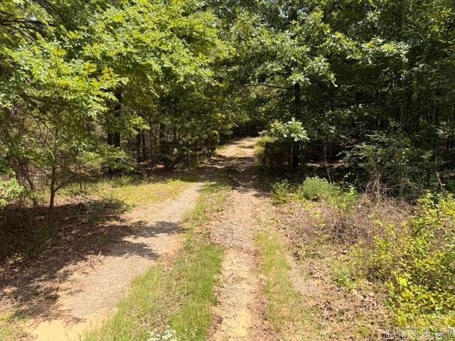 136 Scenic Hill Road, Conway, AR 72034