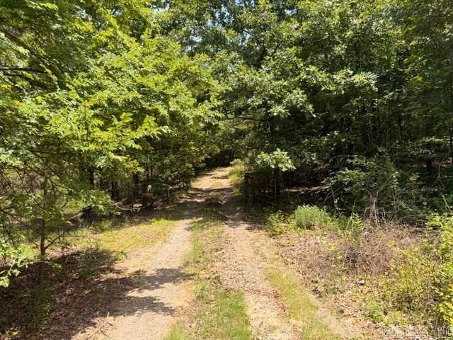 136 Scenic Hill Road, Conway, AR 72034