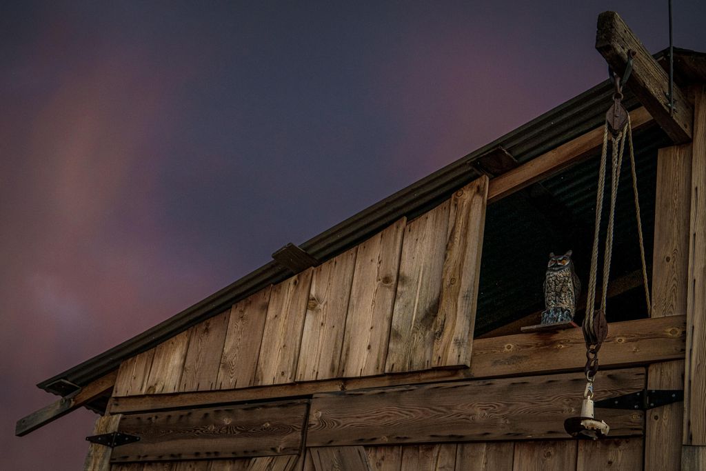 Image 33 of property listing at 39 High Plns Drive, Datil, NM 87821