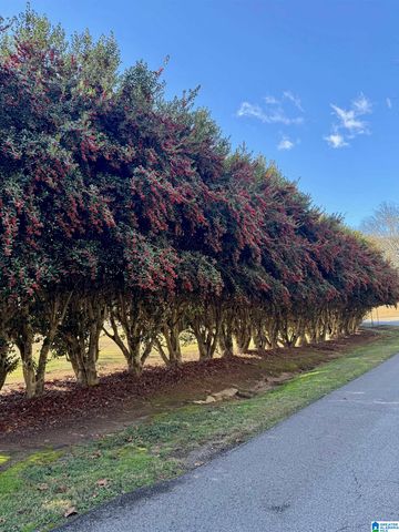 1100 3RD AVENUE NE, Jacksonville, AL 36265