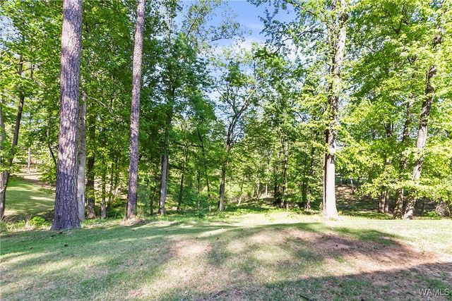 10315 LEGACY, Northport, AL 35475