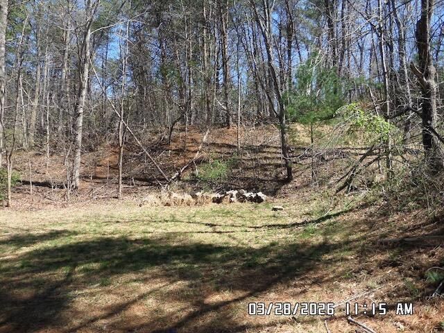 80 Green Meadow LN, Rocky Mount, VA 24151