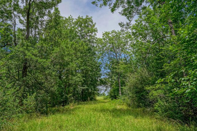8295 County Rd 179, Richards, TX 77873