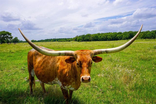 8295 County Rd 179, Richards, TX 77873