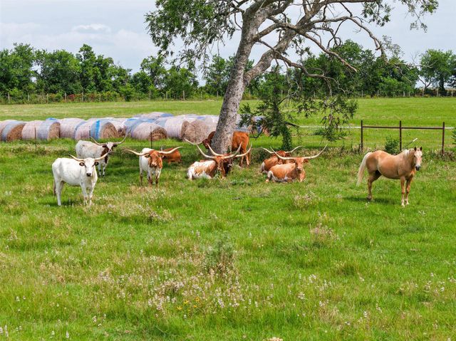 8295 County Rd 179, Richards, TX 77873