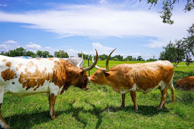 8295 County Rd 179, Richards, TX 77873