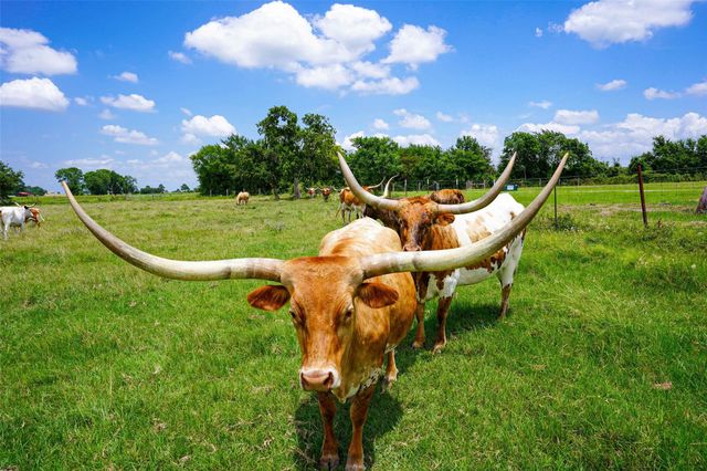 8295 County Rd 179, Richards, TX 77873