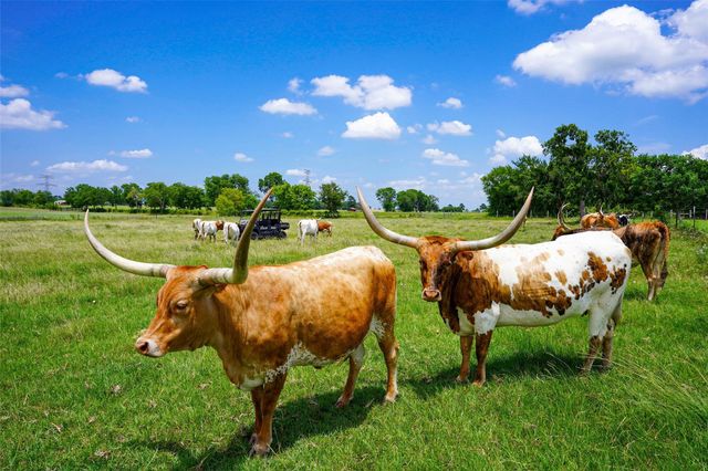 8295 County Rd 179, Richards, TX 77873