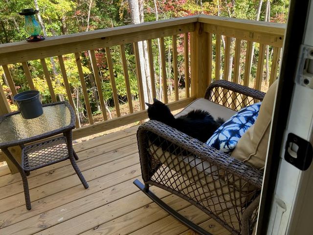 1415 Calhoun Road Ne, Dahlonega, GA 30533