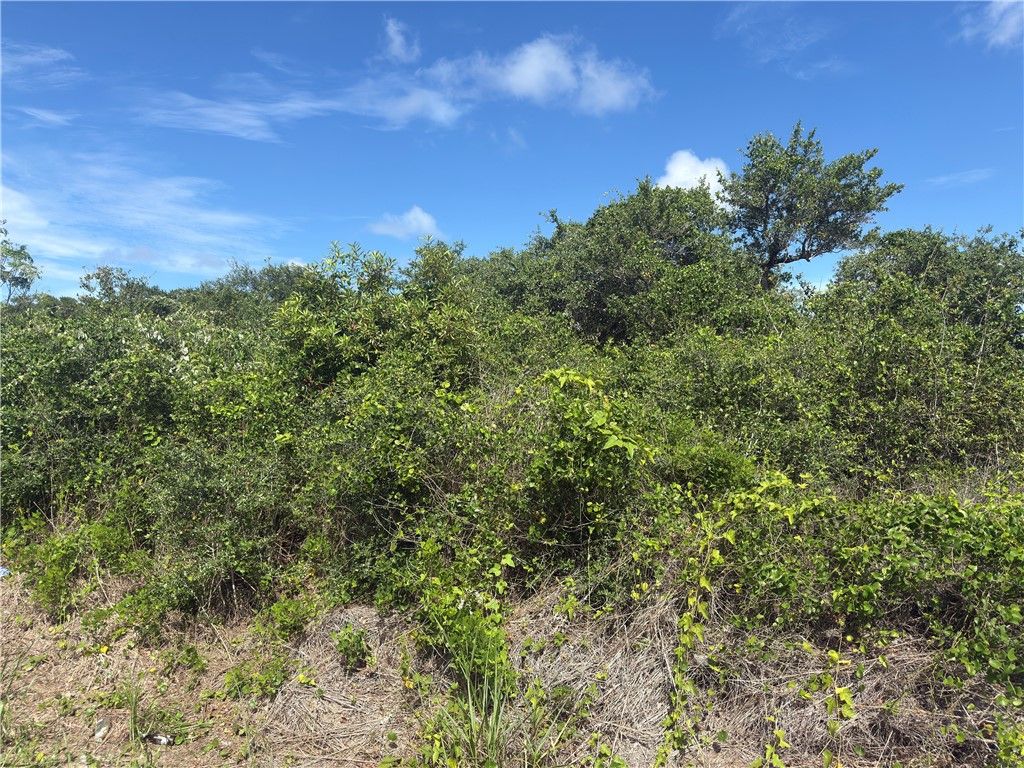 0 S 10th St, Aransas Pass, TX 78336 — photo 2