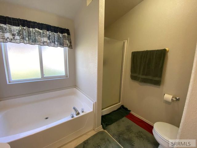 310 Apex Lane, Challis, ID 83226