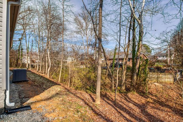 297 Wilkins Ave, Etowah, TN 37331