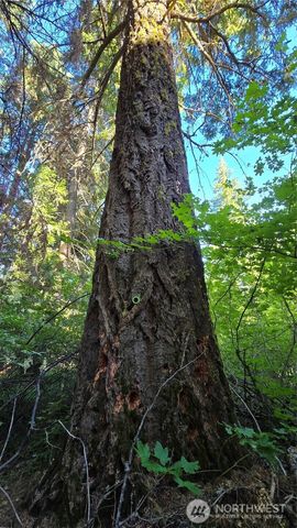 3 -Lots Westside Rd, Cle Elum, WA 98922
