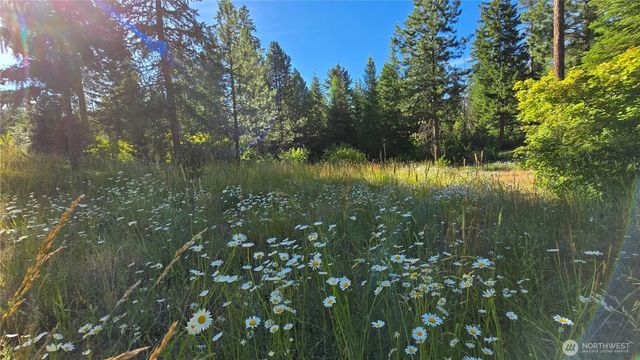 3 -Lots Westside Rd, Cle Elum, WA 98922