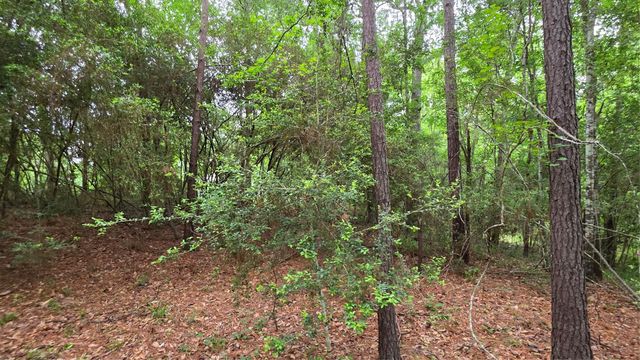 TBD Heron Lane, Coldspring, TX 77331