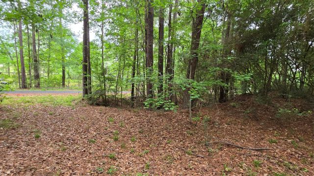 TBD Heron Lane, Coldspring, TX 77331
