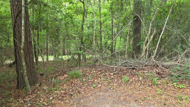 TBD Heron Lane, Coldspring, TX 77331