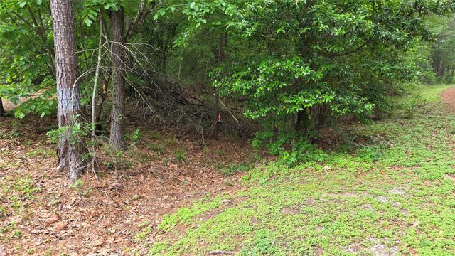 TBD Heron Lane, Coldspring, TX 77331