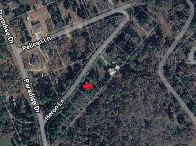 TBD Heron Lane, Coldspring, TX 77331