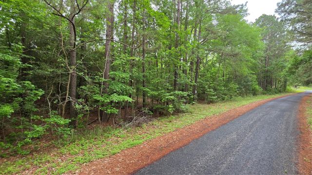TBD Heron Lane, Coldspring, TX 77331