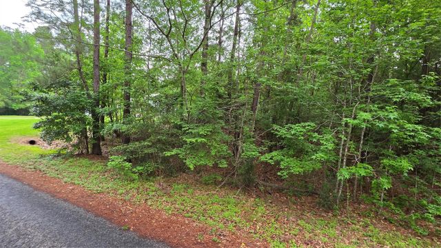 TBD Heron Lane, Coldspring, TX 77331
