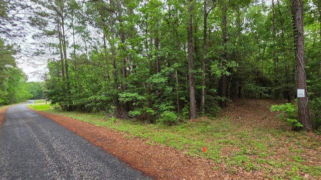 TBD Heron Lane, Coldspring, TX 77331