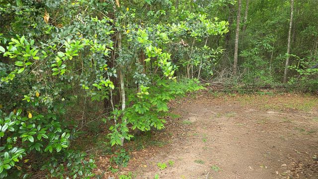TBD Heron Lane, Coldspring, TX 77331