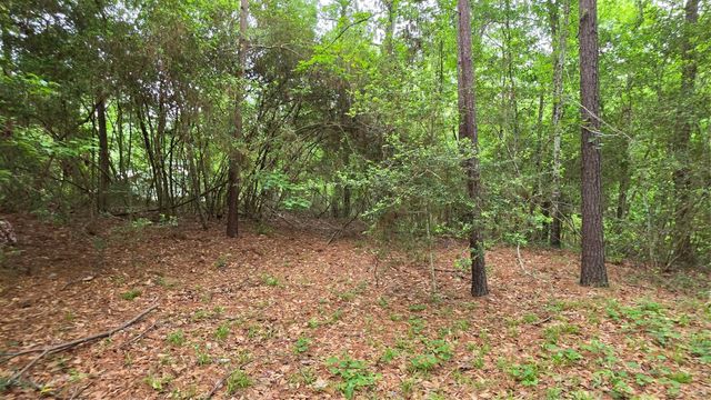 TBD Heron Lane, Coldspring, TX 77331