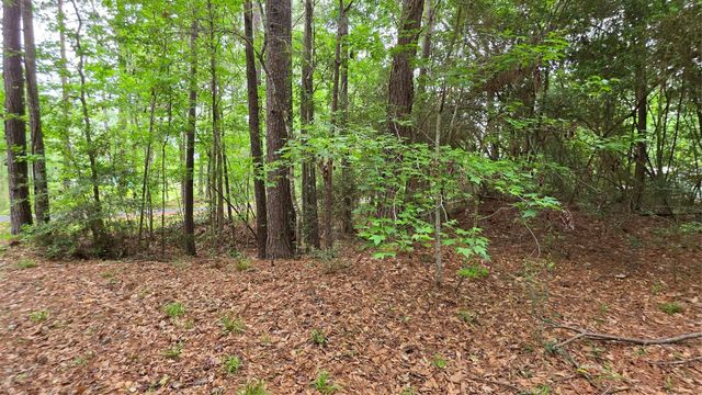 TBD Heron Lane, Coldspring, TX 77331