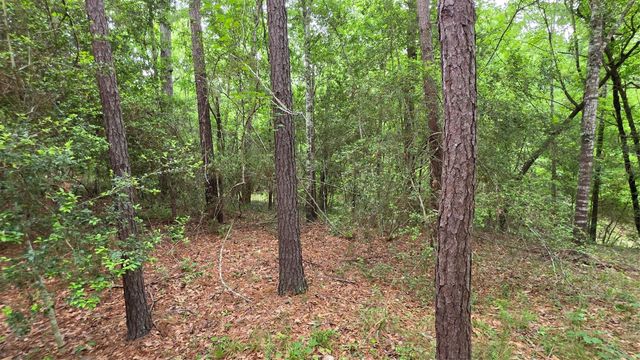 TBD Heron Lane, Coldspring, TX 77331
