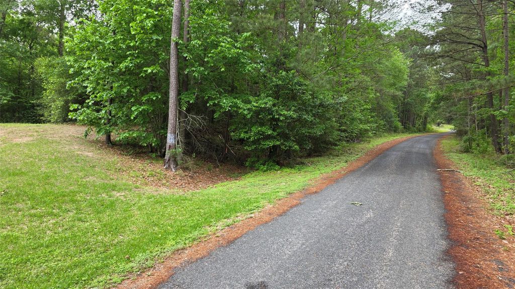TBD Heron Lane, Coldspring, TX 77331
