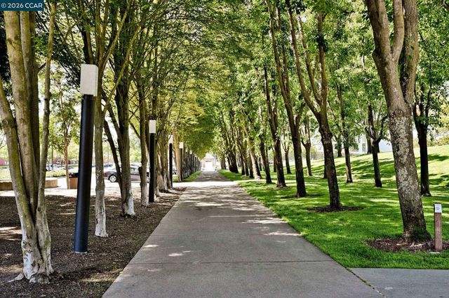 900 Woodland Dr, San Ramon, CA 94582