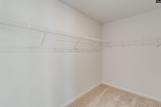 372 Hardwick Drive, Columbia, SC 29223