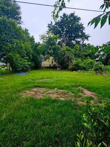 738 Center Street, West Columbia, SC 29169