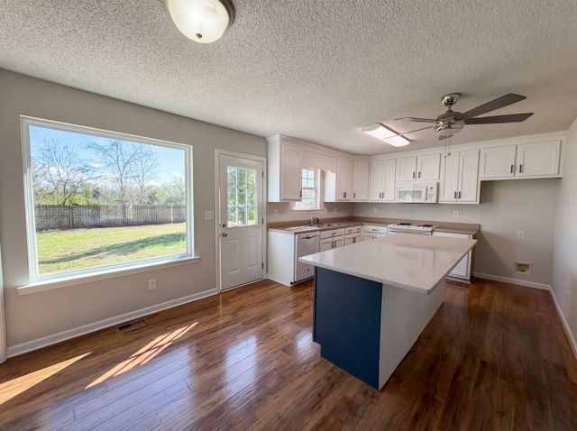 2310 Forrest Fields Dr, Chapel Hill, TN 37034
