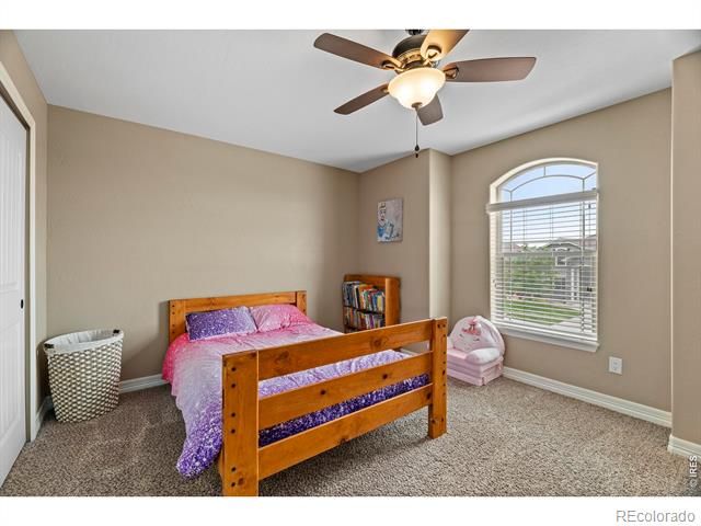 4135 Carroway Seed Drive, Johnstown, CO 80534