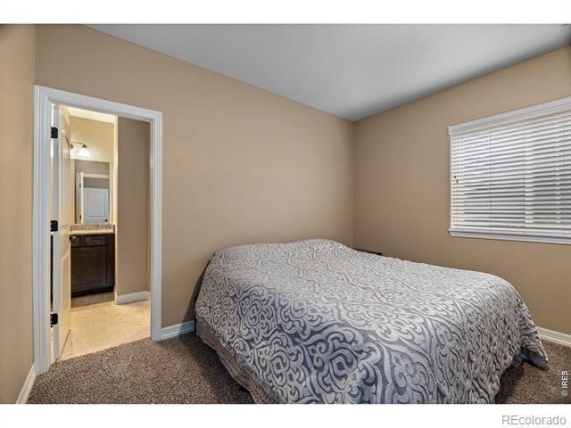 4135 Carroway Seed Drive, Johnstown, CO 80534