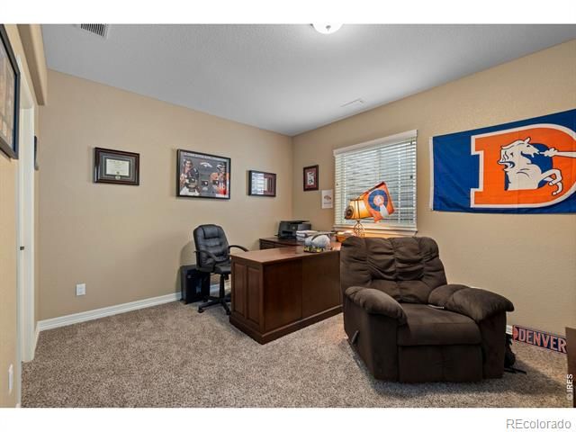 4135 Carroway Seed Drive, Johnstown, CO 80534
